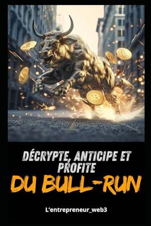 Critique honnête de Décrypte, Anticipe et Profite du Bull-Run